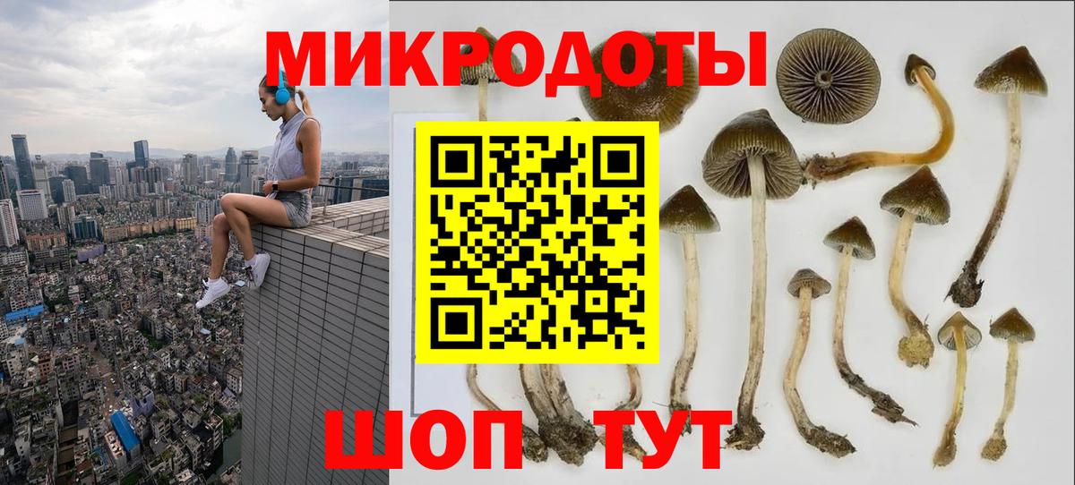 как найти закладки  Галлюциногенные грибы прущие грибы  Псилоцибиновые грибы Psilocybe  Вход с VPN  Баксан 