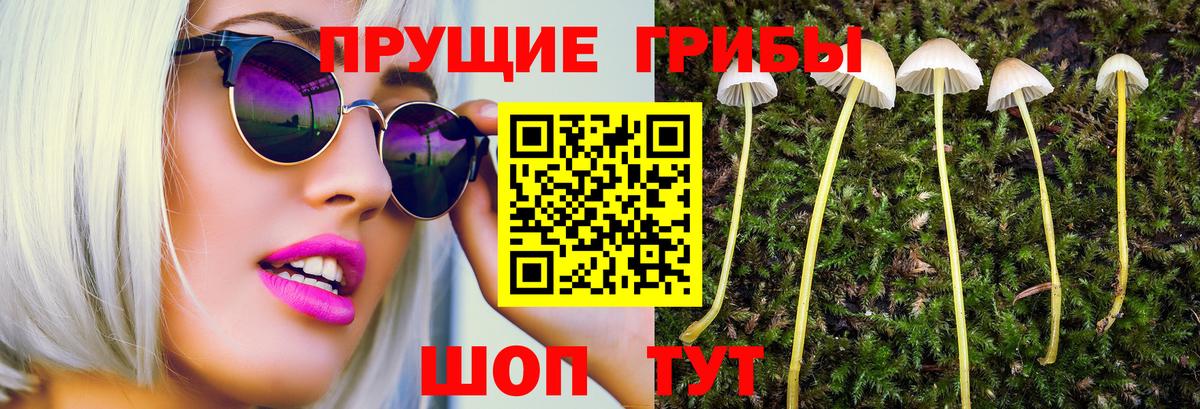 Псилоцибиновые грибы ЛСД Баксан