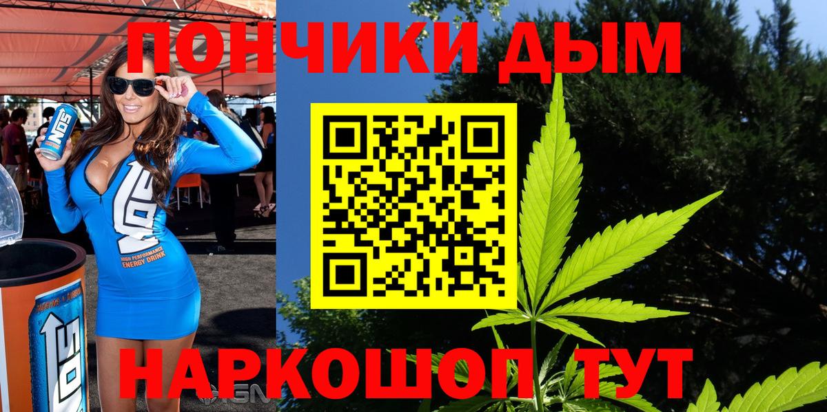 Каннабис планчик Баксан